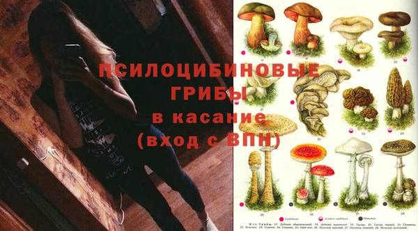 гашиш Нефтекумск