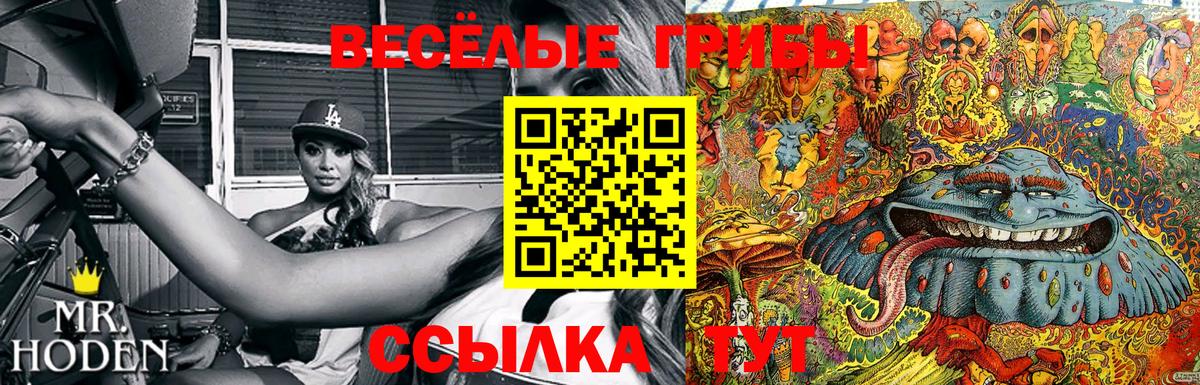 Галлюциногенные грибы Magic Shrooms Кингисепп