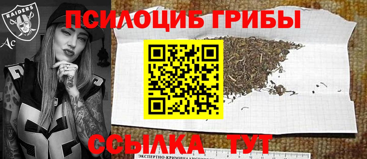Кингисепп  где купить наркоту  Вход с VPN  Галлюциногенные грибы Psilocybine cubensis 